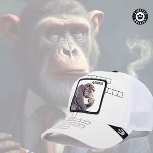 Goorin Bros -“Genius” Limited‎ Circulation Smarty Pants White Nwt